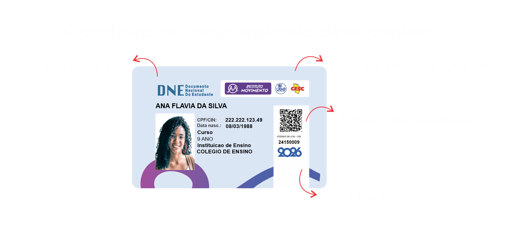 Explicação da carteira